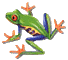 kikkerke